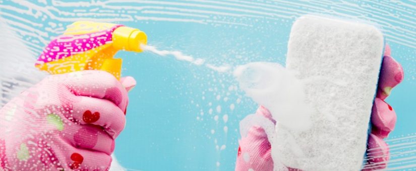 Professional Carpet Cleaning: Which Is Best?